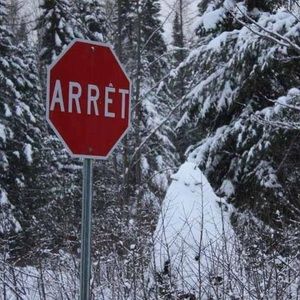 Meet your Posher, Denis